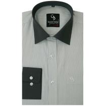 Stripes Gary Shirt : Business