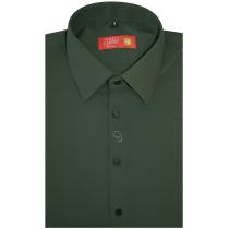 Combination Olive T-shirt : Ditto