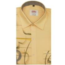Handpainted Peach Shirt : Ditto