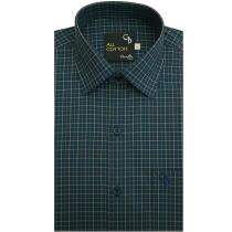 Stripes Dark Green Shirt : Business
