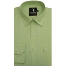 Plain Light Green Shirt : Business