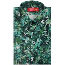 Print Green T-shirt : Ditto