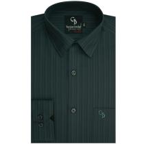 Stripes Green Shirt : Business