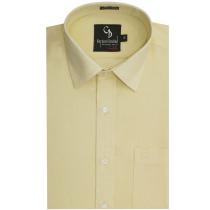 Plain Lemon Shirt : Business
