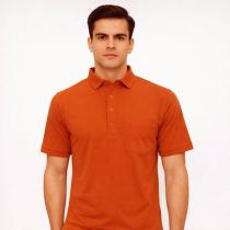 Plain Rust T-shirt : Regular
