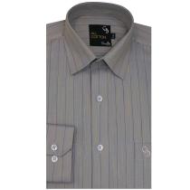 Stripes Gray Shirt : Business