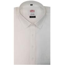 Plain White Shirt : Ditto