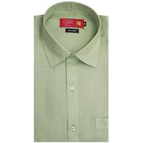 Stripes Green T-shirt : Ditto