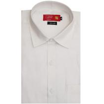 Plain White Shirt : Ditto