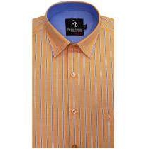 Stripes Orange Shirt : Business