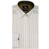 Stripes Dark Green Shirt : Business