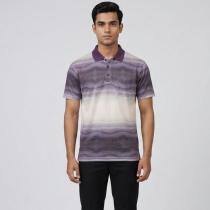 Print Maroon T-shirt : Regular