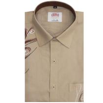 Handpainted Brown Shirt : Ditto