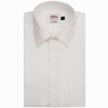 Plain White Shirt : Ditto