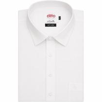 Plain White Shirt : Ditto