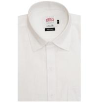 Print White Shirt : Ditto