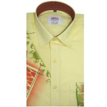 Handpainted Lemon Shirt : Ditto