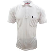 Plain White T-shirt : Regular