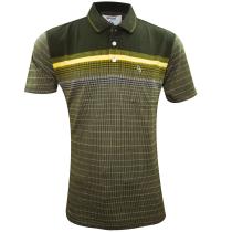 Stripes Green T-shirt : Regular