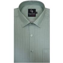 Stripes Green Shirt : Business