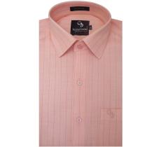 Stripes Peach Shirt : Business