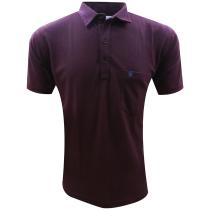 Plain Burgandy T-shirt : Regular