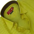 Combination Lemon Shirt : Ditto