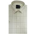Checks Fawn Shirt : Business