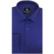 Plain Blue Shirt : Business