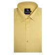 Plain Gold Shirt : Business