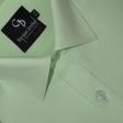 Plain Light Green Shirt : Business