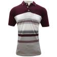 Stripes Maroon T-shirt : Regular