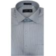 Stripes Gray Shirt : Business
