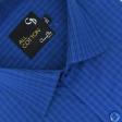 Checks Blue Shirt : Business