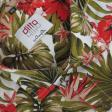 Print Cream Shirt : Ditto