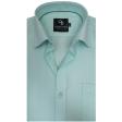 Self Design Green Shirt : Business