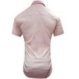 Plain Pink Shirt : Ditto