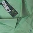 Plain Light Green Shirt : Slim