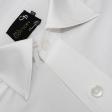 Plain White Shirt : Business