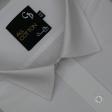 Plain White Shirt : Business
