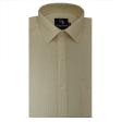 Stripes Green Shirt : Business