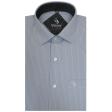 Stripes Gray Shirt : Business