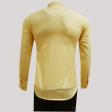 Handpainted Lemon Shirt : Ditto