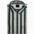 Stripes Green Shirt : Ditto