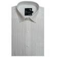 Stripes Gray Shirt : Business