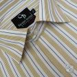 Stripes Fawn Shirt : Business