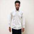 Plain White Shirt : Business