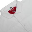 Plain White T-shirt : Regular