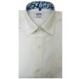 Handpainted Cream Shirt : Ditto