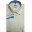 Handpainted Lemon Shirt : Ditto